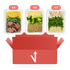 Fit Box